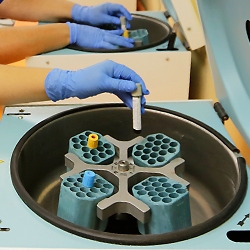 Recepción de Muestras Holanda