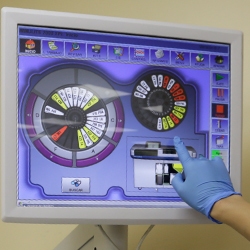 Química Y Hormonas Holanda